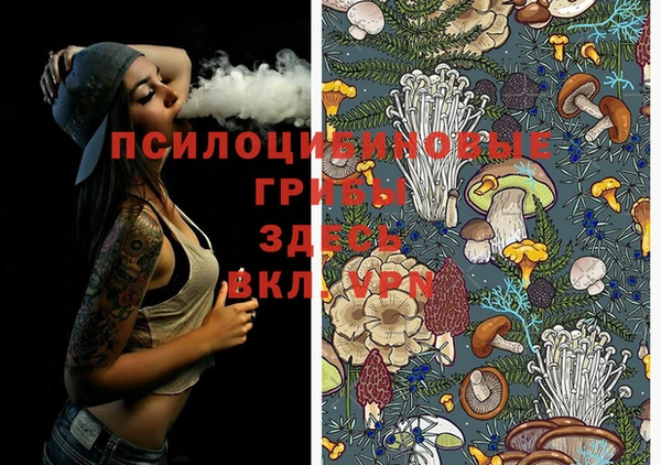 амф Бугульма