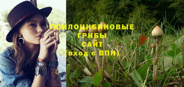 не бодяженный Бронницы