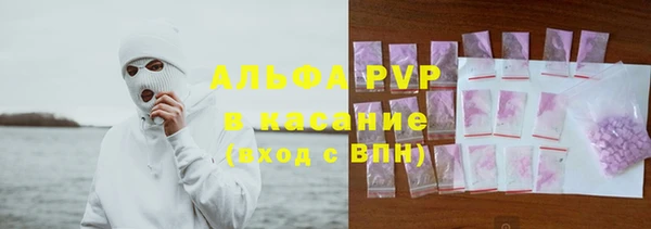 дурь Бородино