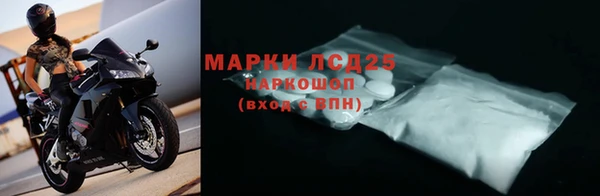 дурь Бородино
