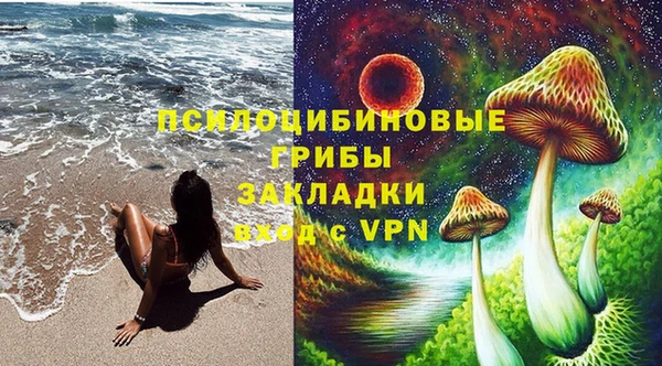 дурь Бородино