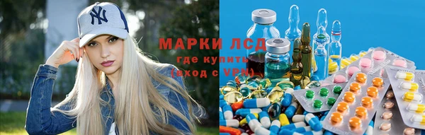 дурь Бородино