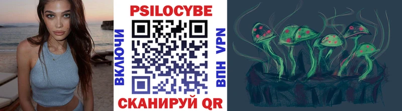 гидра как войти  Шарыпово  Галлюциногенные грибы Magic Shrooms 
